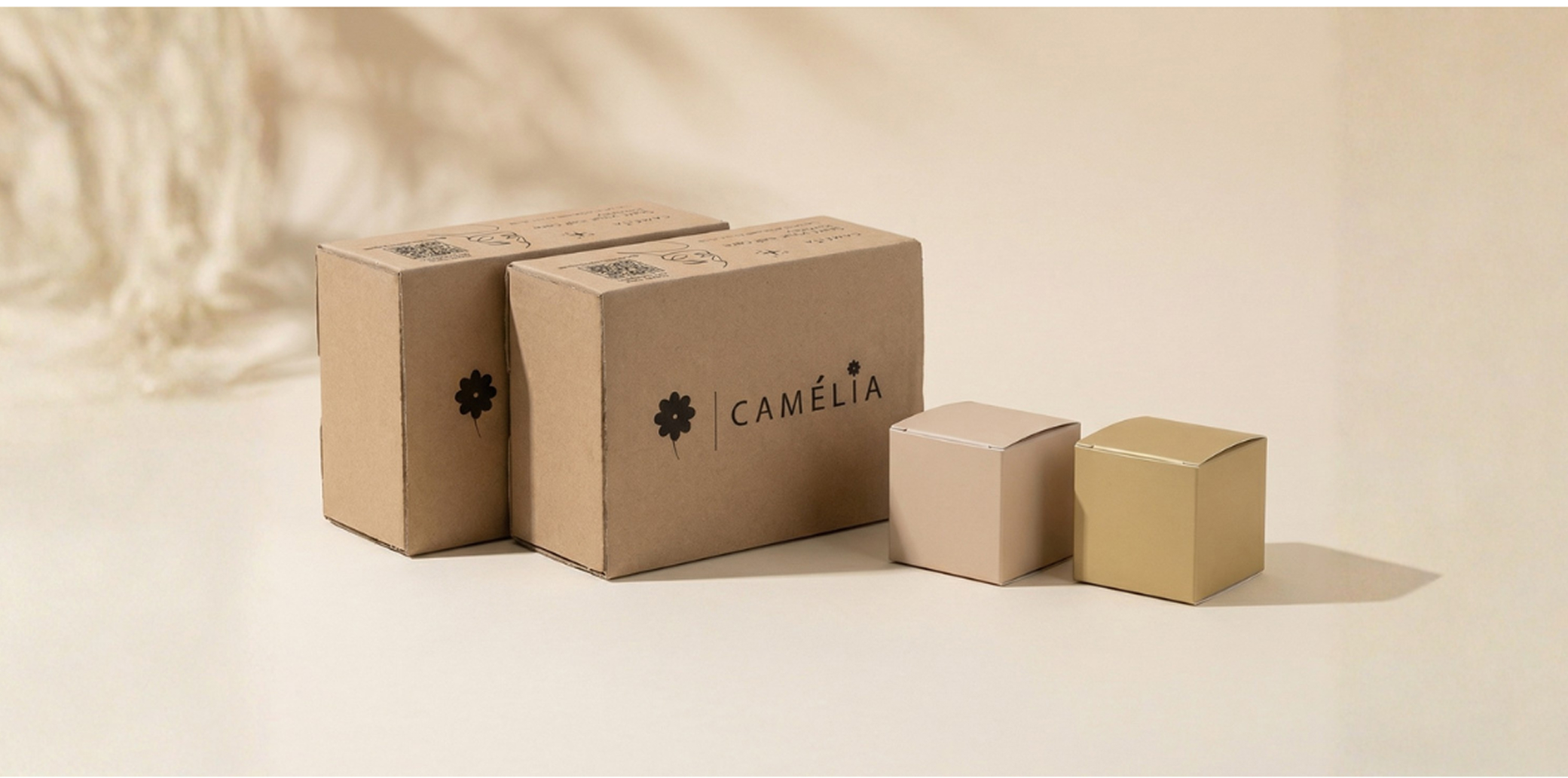 باك الثنائي